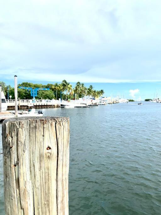 Groveo5 10 Minutes From Miami Beach 외부 사진
